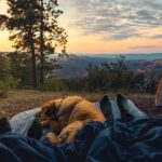 L'Art du Camping : Harmonie avec la Nature et Détente