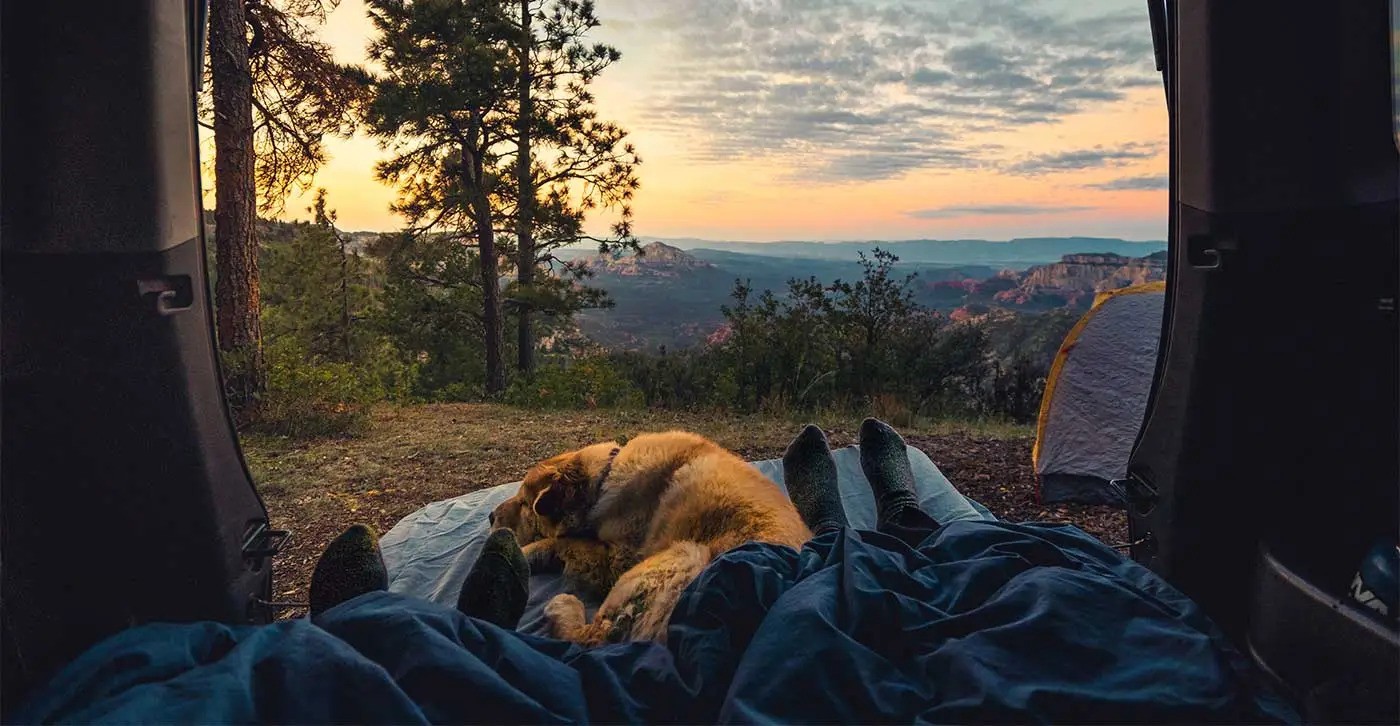 L'Art du Camping : Harmonie avec la Nature et Détente